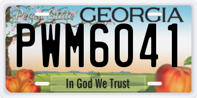 GA license plate PWM6041