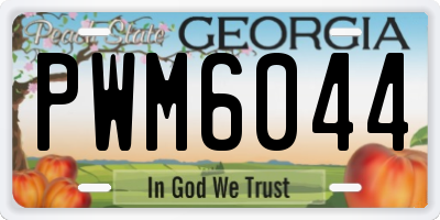 GA license plate PWM6044