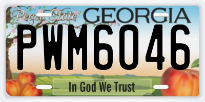 GA license plate PWM6046