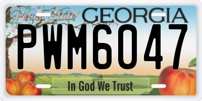 GA license plate PWM6047