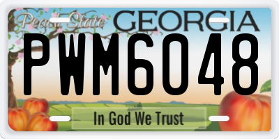 GA license plate PWM6048