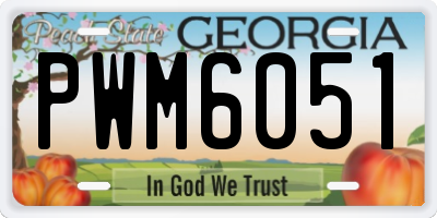 GA license plate PWM6051