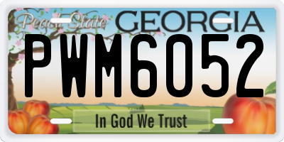 GA license plate PWM6052