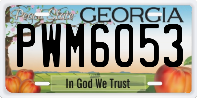GA license plate PWM6053