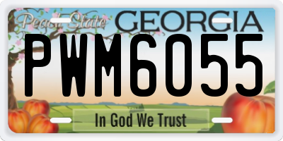 GA license plate PWM6055