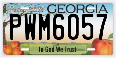 GA license plate PWM6057
