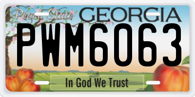 GA license plate PWM6063