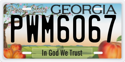 GA license plate PWM6067