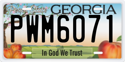 GA license plate PWM6071