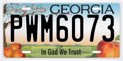 GA license plate PWM6073