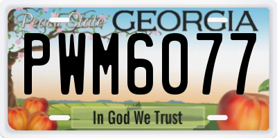 GA license plate PWM6077
