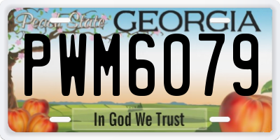 GA license plate PWM6079