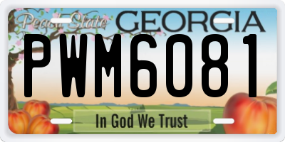 GA license plate PWM6081