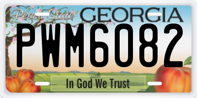 GA license plate PWM6082