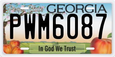 GA license plate PWM6087