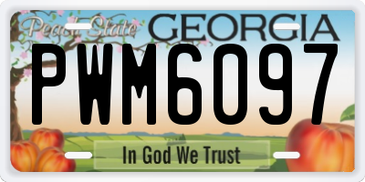 GA license plate PWM6097