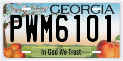 GA license plate PWM6101