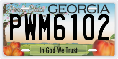 GA license plate PWM6102