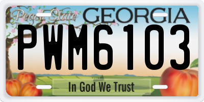 GA license plate PWM6103