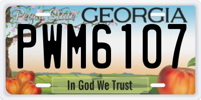 GA license plate PWM6107