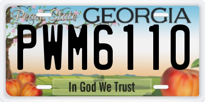 GA license plate PWM6110
