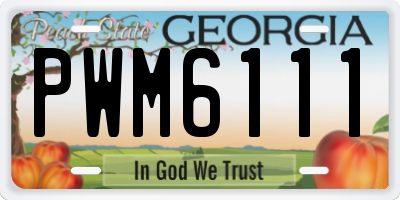 GA license plate PWM6111