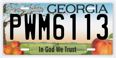 GA license plate PWM6113