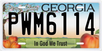 GA license plate PWM6114