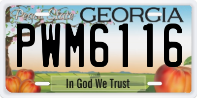 GA license plate PWM6116