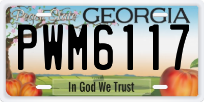 GA license plate PWM6117