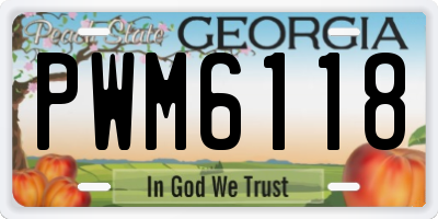 GA license plate PWM6118
