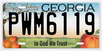 GA license plate PWM6119