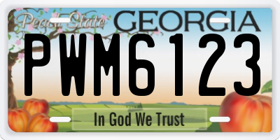 GA license plate PWM6123
