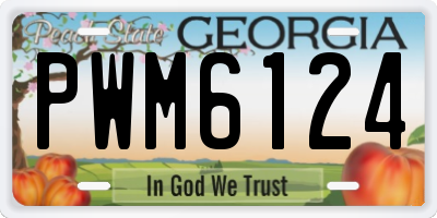 GA license plate PWM6124