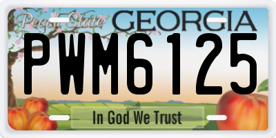 GA license plate PWM6125