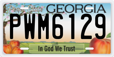 GA license plate PWM6129