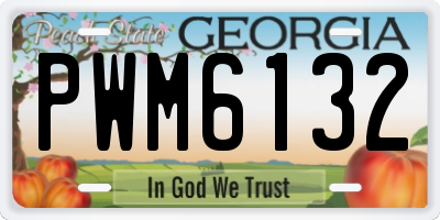 GA license plate PWM6132