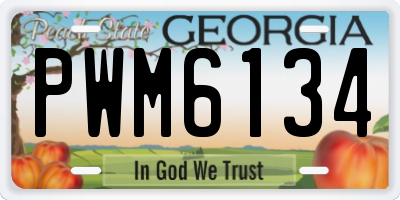 GA license plate PWM6134