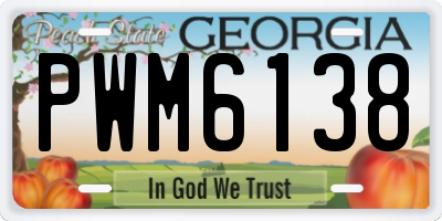 GA license plate PWM6138