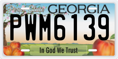 GA license plate PWM6139