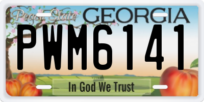 GA license plate PWM6141