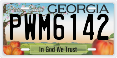 GA license plate PWM6142