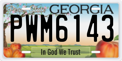 GA license plate PWM6143
