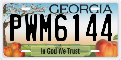 GA license plate PWM6144