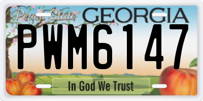 GA license plate PWM6147