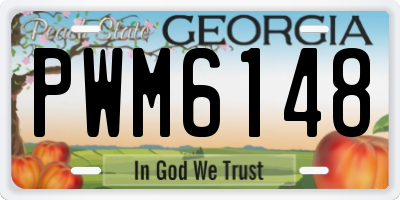 GA license plate PWM6148