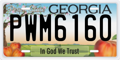 GA license plate PWM6160