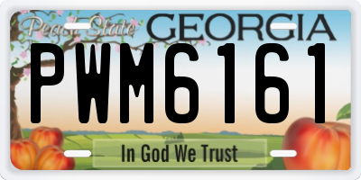 GA license plate PWM6161