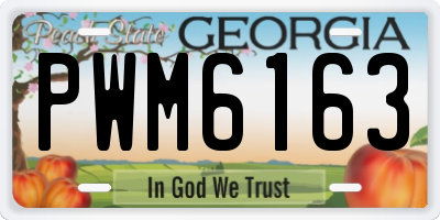 GA license plate PWM6163