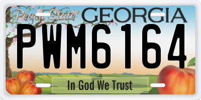 GA license plate PWM6164